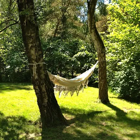 6 Person Holiday In Fars *